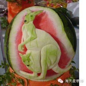 西瓜袋鼠